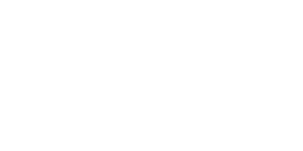AMI logo light
